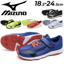 ミズノ キッズ ジュニア スニーカー mizuno スピードスタッズ4 ベルト 子供靴 2E相当 18.5-24.5cm ローカット スポーツ カジュアルシューズ 子ども 運動靴 マジックテープ 通学 体育 学校 スポーティ こども 男の子 女の子 小学生 SPEED STUDS 4 BELT ブランド くつ/K1GC2423