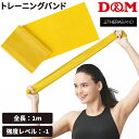 D&M セラバンド トレーニングバンド 初心者向け 強度レベル-1 黄 イエロー 全長1m ディー&エム THERABAND マニュアル冊子付 ビギナー トレー...
