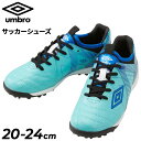 送料無料 アンブロ ジュニア サッカーシューズ トレーニングシューズ 20-24cm 幅広ワイド UMBRO アクセレイター TR JR WIDE ローカット ひも靴 キッズ 練習用 子ども用 フットボール トレシュー こども 小学生 初心者 ブランド スポーツシューズ 青 ブルー くつ/UF5SFCT4J