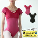 【 ダイヤモンド・プラチナ限定★777円OFFクーポン 配布】【元宝塚歌劇団・楓ゆきさんコラボ】 raffine ラフィーネ/NAWA バレエウェア 日本製 送料無料 クロスデコルテレオタード バレエ ダンス スタジオ レッスン お稽古 大人
