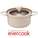 evercook エバークック 両手鍋 20cm EACS2...