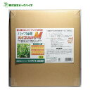 バイオの惠 ハイブリッドM 10L BIGBIO 土壌改良 成長促進 植物 野菜 収穫アップ 光合成促進 BB菌 納豆菌 アミノ酸 チッ素 ミネラル栄養素 苦土 マグネシウム ビッグバイオ (M)