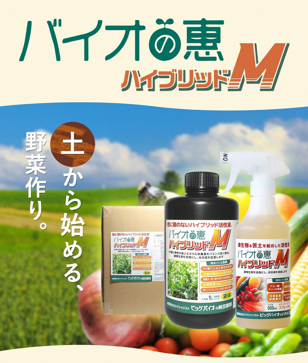 バイオの惠 ハイブリッドM 10L BIGBIO 土壌改良 成長促進 植物 野菜 収穫アップ 光...