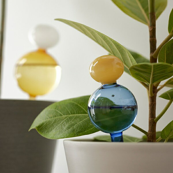 ���饹 ���� ���饹�Υǥ����ڥ󥵡� S������ shesay