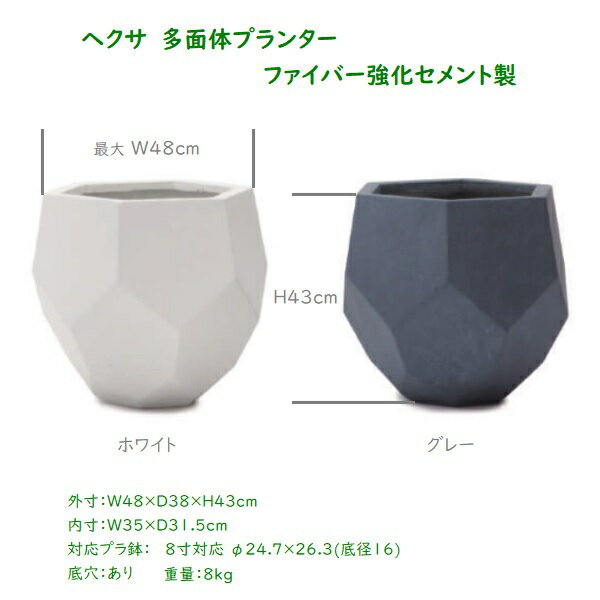 �ե����С����������ȥץ�󥿡����إ�����¿���Υץ�󥿡�