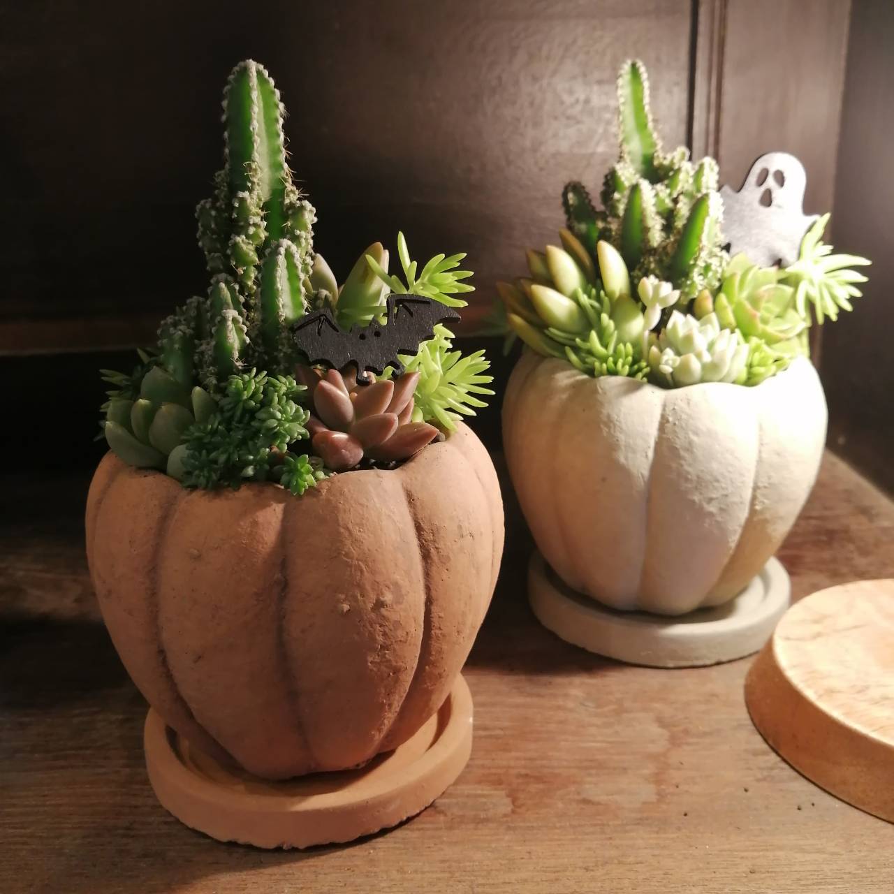 ハロウィン寄せ植え　カボチャ　魔女の帽子　サボテン　多肉のサムネイル
