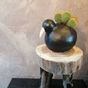 【キウイ鳥鉢の金晃丸】サボテン 観葉植物 アニマル 陶器鉢 アニマルポット 動物 多肉植物 プレゼント植物 インテリア 自分へご褒美 お祝い 新築祝い 開店祝...
