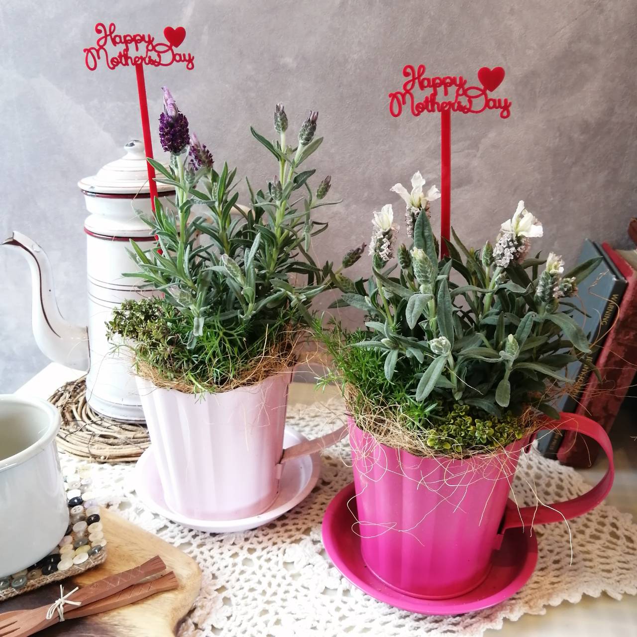 【 ハーブティーカップ】ハーブ　ティーハーブ　キッチンハーブ　寄せ植え　ギフト　植物　母の日　プレゼント　誕生日　プレゼント　引越し祝い　内祝い　新築祝い　快気祝いのサムネイル