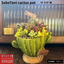 【サボタニ寄せ植えカクタスポット】母の日 多肉植物 多肉 寄せ植え 多肉寄せ植え サボテン寄せ植え サボテン ちまちま寄せ植え 鉢 ポイント3倍
