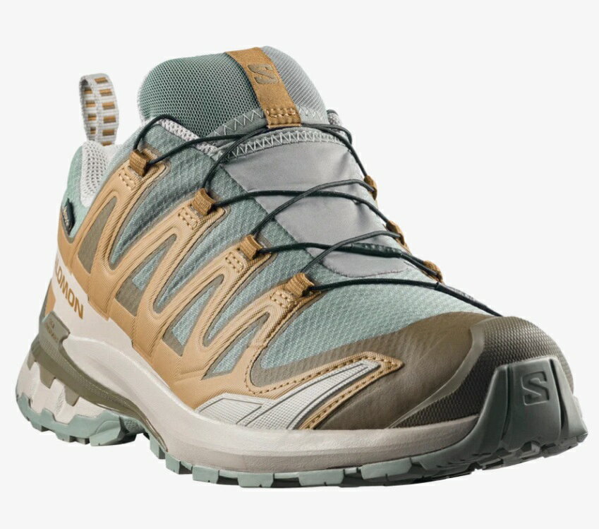 SALOMON XA PRO 3D V9 GORE-TEX L49229600Sedona Sage / Brilliant Olive / Paloma...