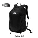 ザ・ノース・フェイス NM62369 K テルス25 ブラック(K) The North Face Tellus 25 BLACK(4)