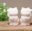 【盛り塩セット】招き猫 ◇盛り塩型2種+花皿4枚+造形専用棒2種のセット ◇盛り塩アートme-007 ◇開運 易学 風水 願望成就 浄化 お清め お祓い 商売繁...