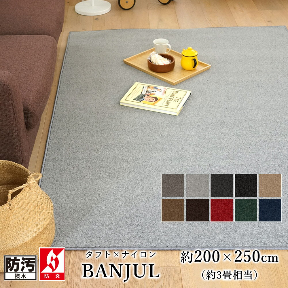 樂天商城 - 【★P3倍 〜5/6 23:59迄】ラグ ラグマット カーペット 絨毯 長方形 200×250cm 3畳 ホットカーペットカバー 床暖房 オールシーズン 低ホルムアルデヒド 防汚 防炎 撥水 静電気防止 家族 子供 リビング スミノエ バンジュール コンシェルジュ