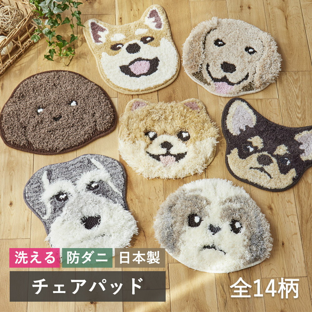 楽天市場】ダックス（クッション・座布団｜インテリア・寝具・収納）の通販