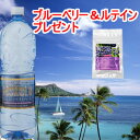 【30%OFF】【送料無料】MaHaLo(マハロ)1500ml×12本人体のミネラルバランスに非常によく似た理想的な水です!今ならブルーベリー&ルテインプレゼントMaHaLo(マハロ) 1500ml × 12本 超★海洋深層水 100%【期間限定値引30%OFF】【プレゼント付き】