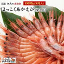 国産 但馬の赤海老 送料無料 ほっこくあかえび　甘えび　甘エビ 甘海老 たっぷり満足 1箱約600g（36尾入り） 選別品