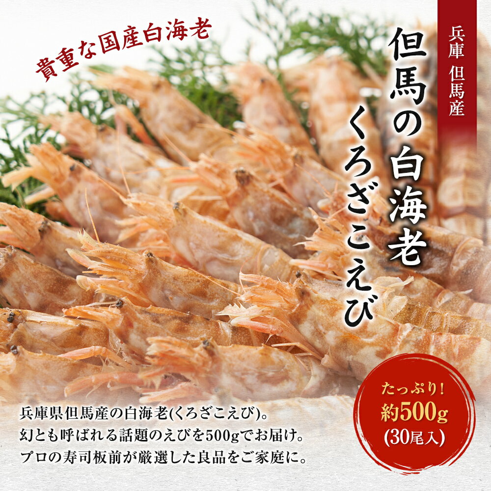 国産 但馬の白海老 送料無料 貴重 くろざこえび クロザコエビ もさえび モサエビ たっぷり満足 1箱約500g(30尾入)選別品