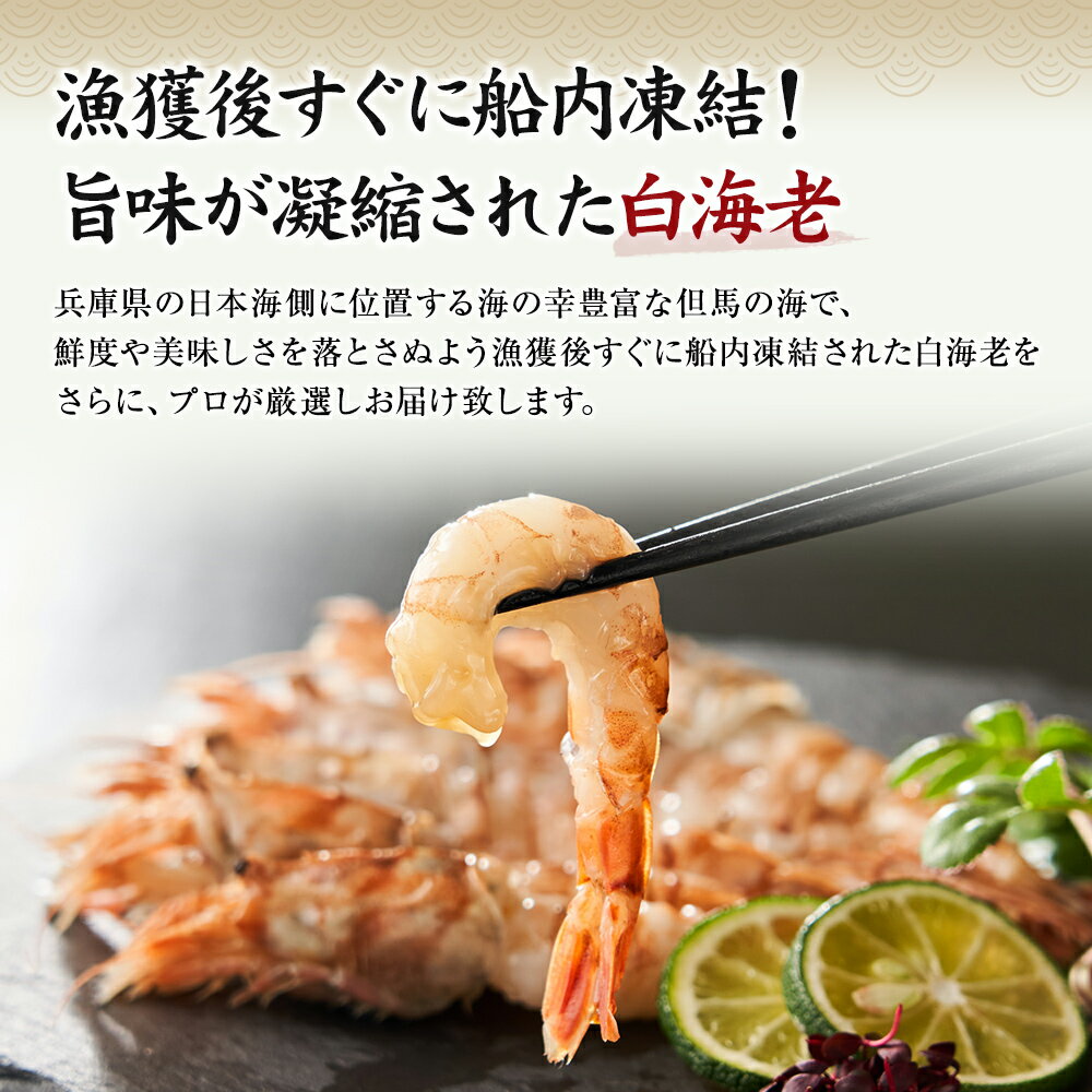 国産 但馬の白海老 送料無料 貴重 くろざこえび クロザコエビ もさえび モサエビ たっぷり満足 1箱約500g(30尾入)選別品