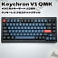 Keychron V1 QMK メカニカルキーボード US配列 テンキーレス フロステッドブラック 半透明）