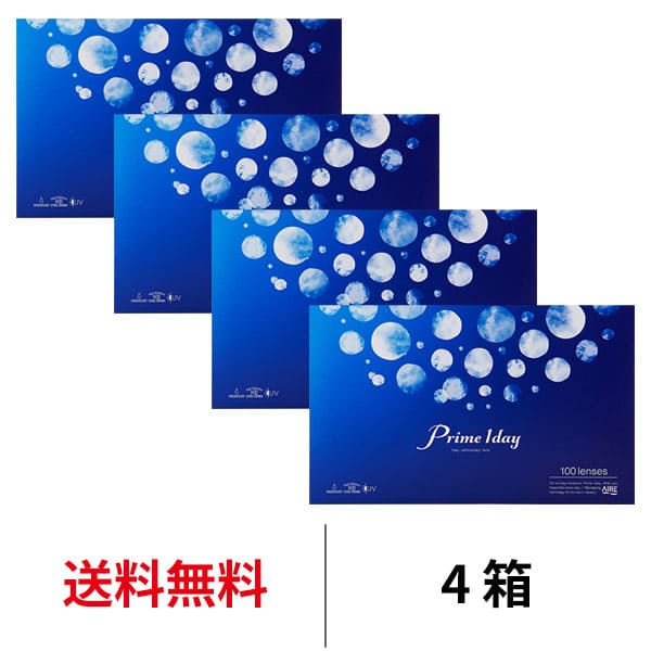 ̵[4Ȣ]ץ饤ǡ ܥ塼ѥå 1Ȣ100 4Ȣå 1ȤΤ  󥿥 󥿥ȥ ǡ ꥢ P...