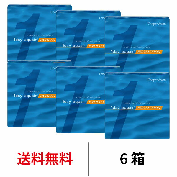 送料無料★[6箱] ワンデーアクエアエボリューション 90枚パック 1day aquair evolution 6箱セット 1日使い捨て 1箱90…