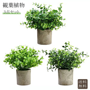 送料無料 観葉植物 父の日 3点セット 人工植物 母の日 成人式 造花 観葉植物 インテリアグリーン...