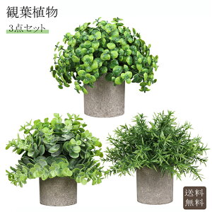 送料無料 観葉植物 父の日 3点セット 人工植物 母の日 成人式 造花 観葉植物 インテリアグリーン...