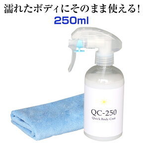 クイックボディコーティング【QC-250】(洗車 コーティング剤/撥水タイプ/撥水コーティング剤/ガラスコーティング剤/車/ボディ用/洗車用品/洗車セット/プロ仕様)