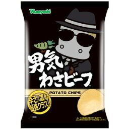 山芳製菓 ポテトチップス 男気わさビーフ 45g ×12袋