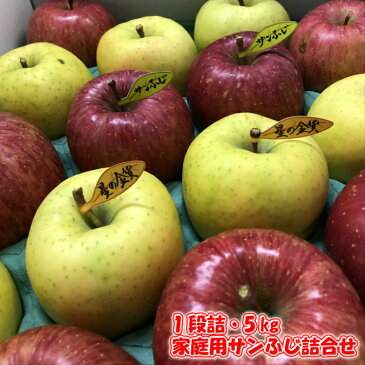 ◎送料無料◎訳あり/家庭用 青森県産りんご 詰合せ サンふじ 王林 シナノゴールド 星の金貨 ぐんま名月 1段 5kg【内祝・お歳暮・お年賀・お祝・結婚内祝・お見舞・快気祝・入学祝・卒業祝・お礼・お返し・プレゼント】