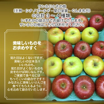 ◎送料無料◎訳あり/家庭用 青森県産りんご 詰合せ サンふじ 王林 シナノゴールド 星の金貨 ぐんま名月 1段 5kg【内祝・お歳暮・お年賀・お祝・結婚内祝・お見舞・快気祝・入学祝・卒業祝・お礼・お返し・プレゼント】