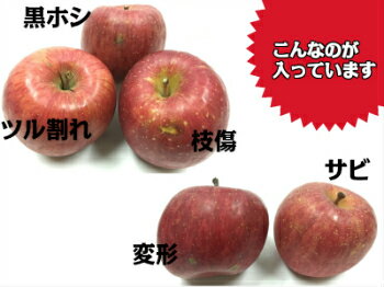 ◎送料無料◎訳あり/家庭用 青森県産りんご 詰合せ サンふじ 王林 シナノゴールド 星の金貨 ぐんま名月 1段 5kg【内祝・お歳暮・お年賀・お祝・結婚内祝・お見舞・快気祝・入学祝・卒業祝・お礼・お返し・プレゼント】