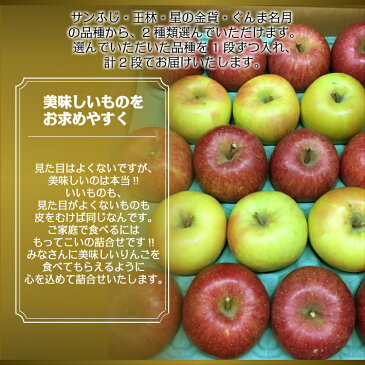 ◎送料無料◎訳あり/家庭用 青森県産りんご 詰合せ サンふじ 王林 星の金貨 ぐんま名月 2段【内祝・お祝・お歳暮・お年賀・結婚内祝・お見舞・快気祝・入学祝・卒業祝・お礼・お返し・プレゼント】