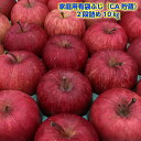 ◎送料無料◎訳あり/家庭用 青森県産りんご ふじ 有袋ふじ 2段 10kg【内祝・お祝・結婚内祝・お見舞・快気祝・入学祝・卒業祝・お礼・お返し・プレゼント】