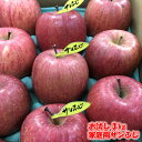 ◎送料無料◎訳あり/家庭用　青森県産りんご　サンふじ3kg