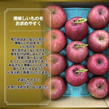 ◎送料無料◎訳あり/家庭用 青森県産りんご サンふじ3kg【内祝・お歳暮・お年賀・お祝・結婚内祝・お見舞・快気祝・入学祝・卒業祝・お礼・お返し・プレゼント】