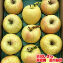 ◎送料無料◎訳あり/家庭用 青森県産りんご 星の金貨 小箱【内祝・お歳暮・お年賀・お祝・結婚内祝・お見舞・快気祝・入学祝・卒業祝・お礼・お返し・プレゼント】