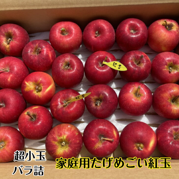 Apple - ◎送料無料◎訳あり/家庭用　青森県産りんご　たげめごい紅玉　バラ詰め（約2.5kg）【内祝・お年賀・お祝・結婚内祝・お見舞・快気祝・お礼・お返し・プレゼント】