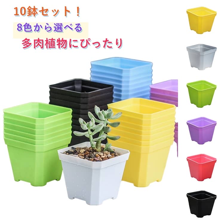 乐天商城 - 10鉢セット 多肉植物鉢 育苗ポット 植木鉢 オーキッドポット サボテン鉢 ミニ鉢 プラスチック鉢 穴付き 八角形 加厚 口径10cm 育苗鉢 寄せ植え 園芸 ガーデニング 室内 卓上 おしゃれ 可愛い 軽量 カラフル 8色 選べる 苗ポット プラ鉢 多肉植物 観葉植物