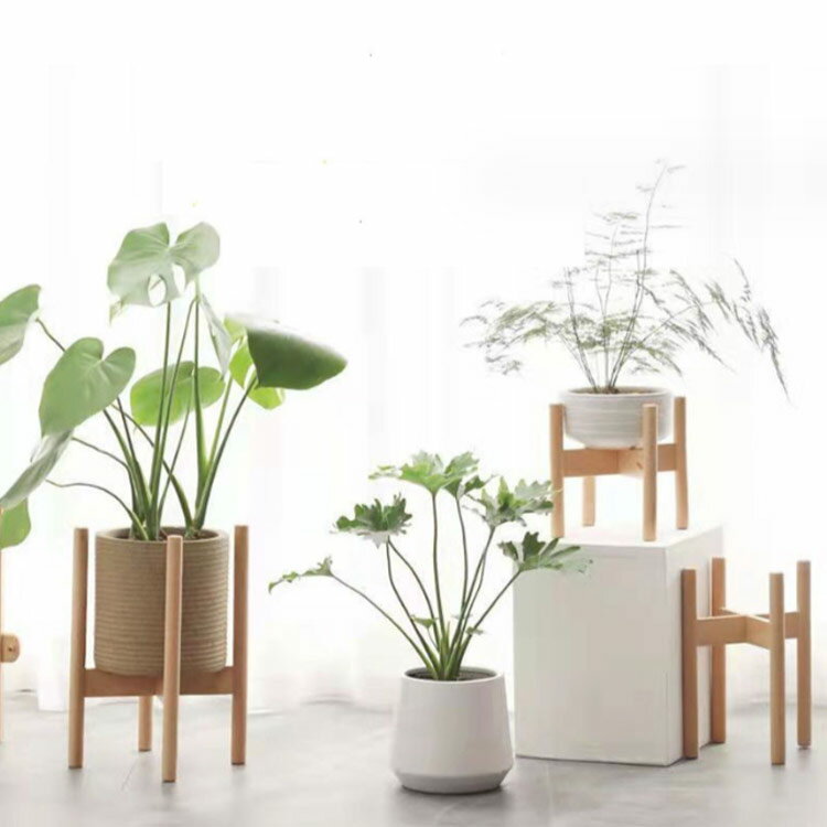 �ץ�󥿡�������� �ե�������� ���٤�3������ ŷ���� ���տ�ʪ ���� ȭ�� �ե��ݥå� �֥� ����ȭ�� ����ƥꥢ �߷� �ݵ� ���� ���� �̲� �ץ�󥿡� ���� ���� ���տ�ʪ �����ǥ˥� �����