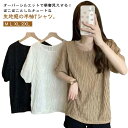 半袖 ティーシャツ レディース カットソー ギャザー シャーリング 半袖Tシャツ シャーリングTシャツ エンボス シャーリングTシャツ シボ加工 クルーネック ラウンドネック ショートスリーブ ボリューム感 オーバーサイズ