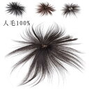 ヘアピース 人毛100% 部分ウィッグ トップカバー 自然 トップヘアピース 人毛 100% 人毛ウィッグ 白髪隠し 円形脱毛 医療用 前髪ウィッグ ボリューム...