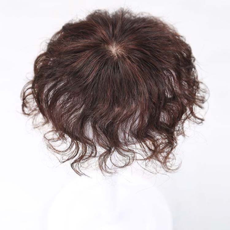 ウィッグ 部分ウィッグ 人毛100％ 長さ25cm 白髪隠し 送料無料 ヘアピース 薄毛対策 トップカバー 滑り止め トップ ピース トップ カバー ウイッグ 白髪かくし ボリューム アップ ミセス