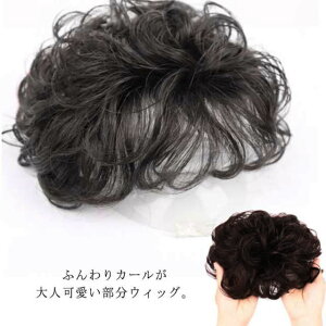 送料無料 部分ウィッグ ヘアピース 人毛100％ 長さ13cm トップカバー 部分かつら ふんわりボリュームたっぷり 地毛に馴染みやすい 薄毛 抜け毛 ウェーブ 増毛 ウィッグ レディース 婦人 ミセス 母の日