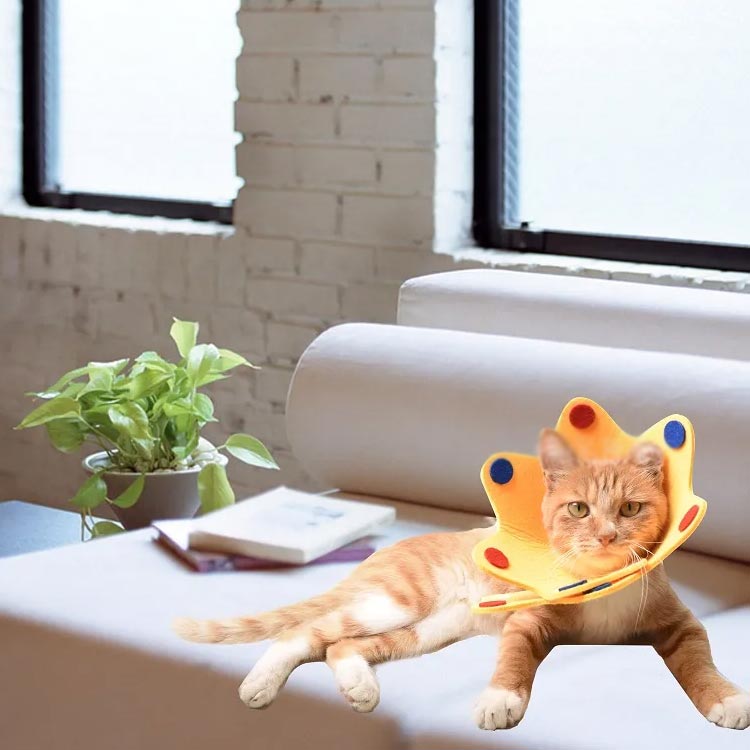 【3枚セット】ペット 猫 犬 エリザベスカラー...の紹介画像2