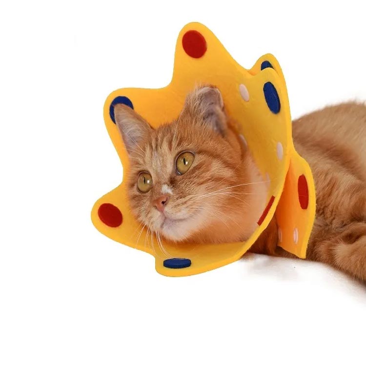 【3枚セット】ペット 猫 犬 エリザベスカラー...の紹介画像3