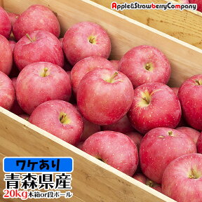 【木箱/段ボール 選べます】≪訳あり≫ サンフジ 青森 りんご 産地直送 20kg 送料込み 訳アリ 業務用 販売 【品種：サンふじのみ販売中】※沖縄・離島は＋送料3000円