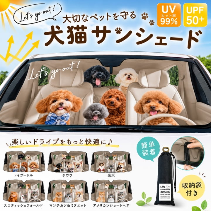 車に乗ったトイプードル、ヨーキー、ポメラニアン、マルチーズ、チワワ
