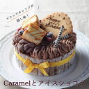 楽天あづみ野菓子工房彩香Caramelとアイスショコラ 5号 アイスケーキ チョコ 子供 クリスマス お誕生日 バースデイ 記念日 ケーキ アイスクリーム アイスジェラート スイーツ 大人 ギフト プレゼント お中元 お取り寄せ 父の日 母の日 ホワイトデー バースデーケーキ 入学祝い 進級祝い 入園祝い