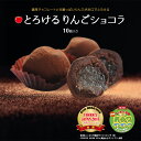 とろけるりんごショコラ 10個入 チョコレート ショコラ トリュフ 生チョコ 生チョコレート バレンタイン 贈り物 お土産 スイーツ 大人 ギフト プレゼント お取り寄せ りんご アップル 洋菓子 内祝い お礼 結婚祝い 出産祝い お歳暮 お年賀の商品画像